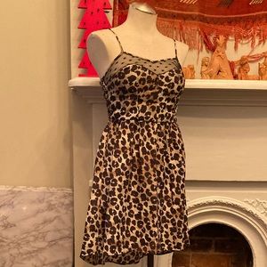 High-Low Hem Cheetah Mini Dress